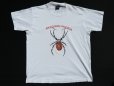 画像3: ◆ 90s USA製 ARACHNID-PHOBIA 蜘蛛×ダーツ プリントTシャツ XLサイズ 白/ビンテージ オールド レトロ アメリカ古着 シングルステッチ