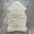 画像1: 【93cm×59cm】IKEA ムートンラグ マット 白■インテリア マット シープスキン 敷物 羊毛 毛皮 No.5  (1)