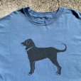 画像2: 【XL】90s The Black Dog プリントTシャツ 青グレー■ビンテージ アメリカ古着 ブラックドッグ ビッグサイズ 90s シングルステッチ