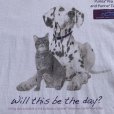 画像3: 【L】2000s GILDAN Petsmart Charities 犬＆猫 動物 プリントTシャツ 白■ビンテージ オールド アメリカ古着 Y2K オールコットン ギルダン