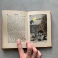 画像9: 【19cm×13cm】1920s Min Din「A Story of Hidden Treasure」洋書■ビンテージ アンティーク レトロ アメリカ雑貨 インテリア 本