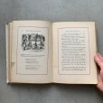 画像9: 【23cm×16cm】1900s 不思議の国のアリス 洋書■ビンテージ アンティーク アメリカ雑貨 童話 本 インテリア ALICE IN WONDERLAND