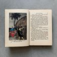 画像5: 【19cm×13cm】1920s Min Din「A Story of Hidden Treasure」洋書■ビンテージ アンティーク レトロ アメリカ雑貨 インテリア 本