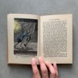 画像7: 【19cm×13cm】1920s Min Din「A Story of Hidden Treasure」洋書■ビンテージ アンティーク レトロ アメリカ雑貨 インテリア 本