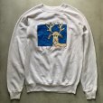 画像1: 【S/M】USA製 80s HANES トナカイ プリントスウェット 白■ビンテージ オールド アメリカ古着 ヘインズ ラグラン レディース 動物 (1)