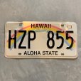 画像1: 【15.3cm×30.4cm】HAWAII ハワイ アメ車 ナンバープレート 白■ビンテージ アンティーク アメリカ雑貨 虹 ブリキ看板 ガレージ 2000s (1)