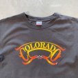 画像2: 【M】anvil 「COLORADO」ピンストライプ プリントTシャツ ブラック 黒■オールド アメリカ古着 2000s アンビル コットン ホットロッド MC