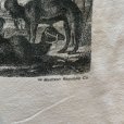 画像3: 【M】90s MADISON REPUBLIC ポケット付き パロディ バックプリントTシャツ 白■ビンテージ オールド アメリカ古着 バナリパ フラミンゴ