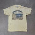 画像1: 【M/L】80s USA製「EXPOSE YOURSELF」変質者 露出狂 プリントTシャツ 薄黄色■ビンテージ オールド アメリカ古着 Hanes ヘインズ (1)