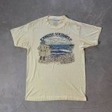 【M/L】80s USA製「EXPOSE YOURSELF」変質者 露出狂 プリントTシャツ 薄黄色■ビンテージ オールド アメリカ古着 Hanes ヘインズ