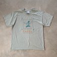 画像1: 【L】90s Hanes プリントTシャツ グレー系 アースカラー■ビンテージ オールド アメリカ古着 アート コットン ヘインズ EXCEL エクセル (1)
