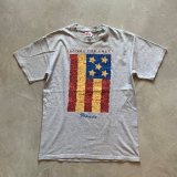 【S/M】Hanes フロリダ州 プリントTシャツ グレー■ビンテージ オールド アメリカ古着 ヘインズ 星条旗 国旗