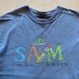 画像2: 【M】2000s Dr.Seuss ドクター・スース プリントTシャツ 青グレー■ビンテージ オールド アメリカ古着 ギルダン コットン