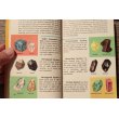 画像8: ◆ アメリカ雑貨 50s ROCKS&MINERALS 鉱石 ミニブック 15.4cm×10.3cm/ビンテージ 洋書 古本 インテリア 鉱物 図版 専門書 (8)