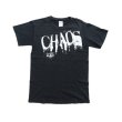 画像2: ◆ 2000s TASTE OF CHAOS テイストオブカオス ツアーTシャツ Sサイズ 黒 ブラック/ビンテージ オールド アメリカ古着 ヘヴィメタル ロック (2)