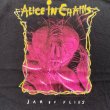 画像3: 【2XL】2000s Y2K ALICE IN CHAINS バンドTシャツ ブラック 黒■ビンテージ オールド アメリカ古着 アリスインチェインズ グランジ (3)