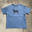 画像1: 【XL】90s The Black Dog プリントTシャツ 青グレー■ビンテージ アメリカ古着 ブラックドッグ ビッグサイズ 90s シングルステッチ (1)