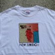 画像2: 【L】2000s Hanes 唐辛子 プリントTシャツ 白■ビンテージ オールド アメリカ古着 ニューメキシコ アート Peter Tengler (2)