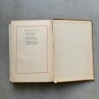 画像10: 【23cm×16cm】1900s 不思議の国のアリス 洋書■ビンテージ アンティーク アメリカ雑貨 童話 本 インテリア ALICE IN WONDERLAND (10)