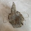 画像6: 【28.0cm】ニワトリ ワイヤーバスケット 卵入れ■ビンテージ アンティーク アメリカ雑貨 ワイヤーアート インテリア 鶏 (6)