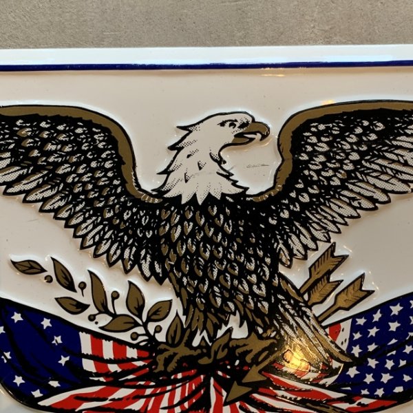 画像3: 【15.2cm×30.0cm】80s USA製 AMERICA 鷲 サイン ナンバープレート■ビンテージ アンティーク アメリカ雑貨 ブリキ看板 イーグル 星条旗 (3)