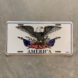 画像1: 【15.2cm×30.0cm】80s USA製 AMERICA 鷲 サイン ナンバープレート■ビンテージ アンティーク アメリカ雑貨 ブリキ看板 イーグル 星条旗 (1)
