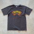 画像1: 【M】anvil 「COLORADO」ピンストライプ プリントTシャツ ブラック 黒■オールド アメリカ古着 2000s アンビル コットン ホットロッド MC (1)