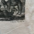 画像3: 【M】90s MADISON REPUBLIC ポケット付き パロディ バックプリントTシャツ 白■ビンテージ オールド アメリカ古着 バナリパ フラミンゴ (3)