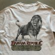 画像2: 【S/M】80s-90s BANANA REPUBLIC ポケット付き バックプリントTシャツ 白■ビンテージ オールド アメリカ古着 バナリパ バナナリパブリック (2)