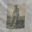画像3: 【XL】Hanes フォトプリントTシャツ 白■ビンテージ オールド アメリカ古着 90s ヘインズ オールコットン 動物 ミリタリー (3)