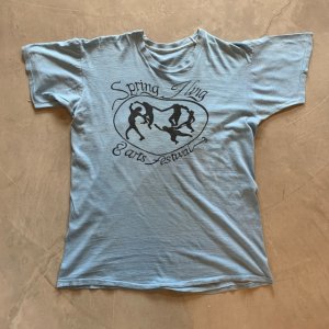 画像: 【M】70s Spring Fling Arts Festival プリントTシャツ 水色■ビンテージ オールド アメリカ古着 シングルステッチ オールコットン アート