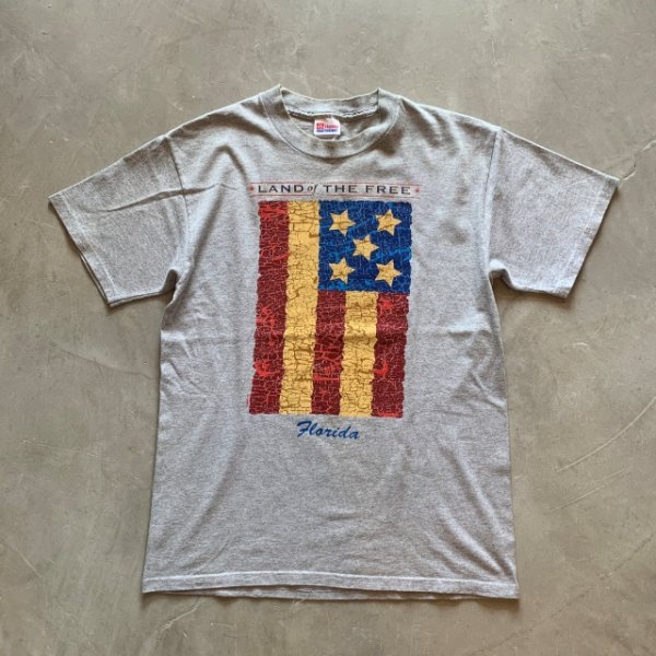 画像1: 【S/M】Hanes フロリダ州 プリントTシャツ グレー■ビンテージ オールド アメリカ古着 ヘインズ 星条旗 国旗 (1)