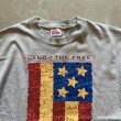画像2: 【S/M】Hanes フロリダ州 プリントTシャツ グレー■ビンテージ オールド アメリカ古着 ヘインズ 星条旗 国旗 (2)