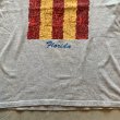 画像3: 【S/M】Hanes フロリダ州 プリントTシャツ グレー■ビンテージ オールド アメリカ古着 ヘインズ 星条旗 国旗 (3)