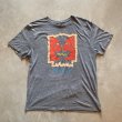 画像1: 【L/XL】PINK FLOYD ディヴィジョンベル プリントTシャツ グレー■アメリカ古着 バンドT プログレ ロック ピンクフロイド (1)